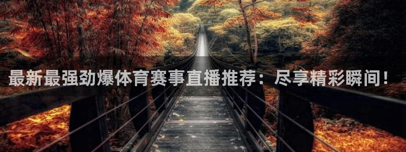 最新最强劲爆体育赛事直播推荐：尽享精彩瞬间！