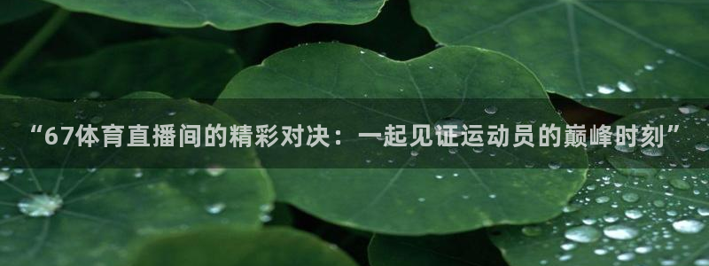 “67体育直播间的精彩对决：一起见证运动员的巅峰时刻”