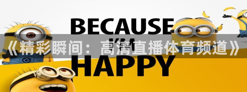 《精彩瞬间：高清直播体育频道》